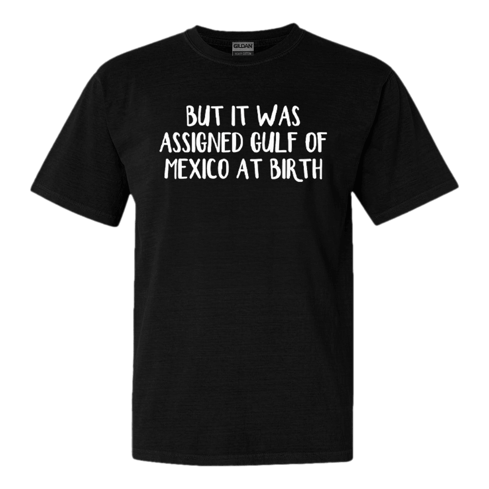 But It Was Assigned Gulf Of Mexico At Birth T-Shirt Anti Trump Political Tee