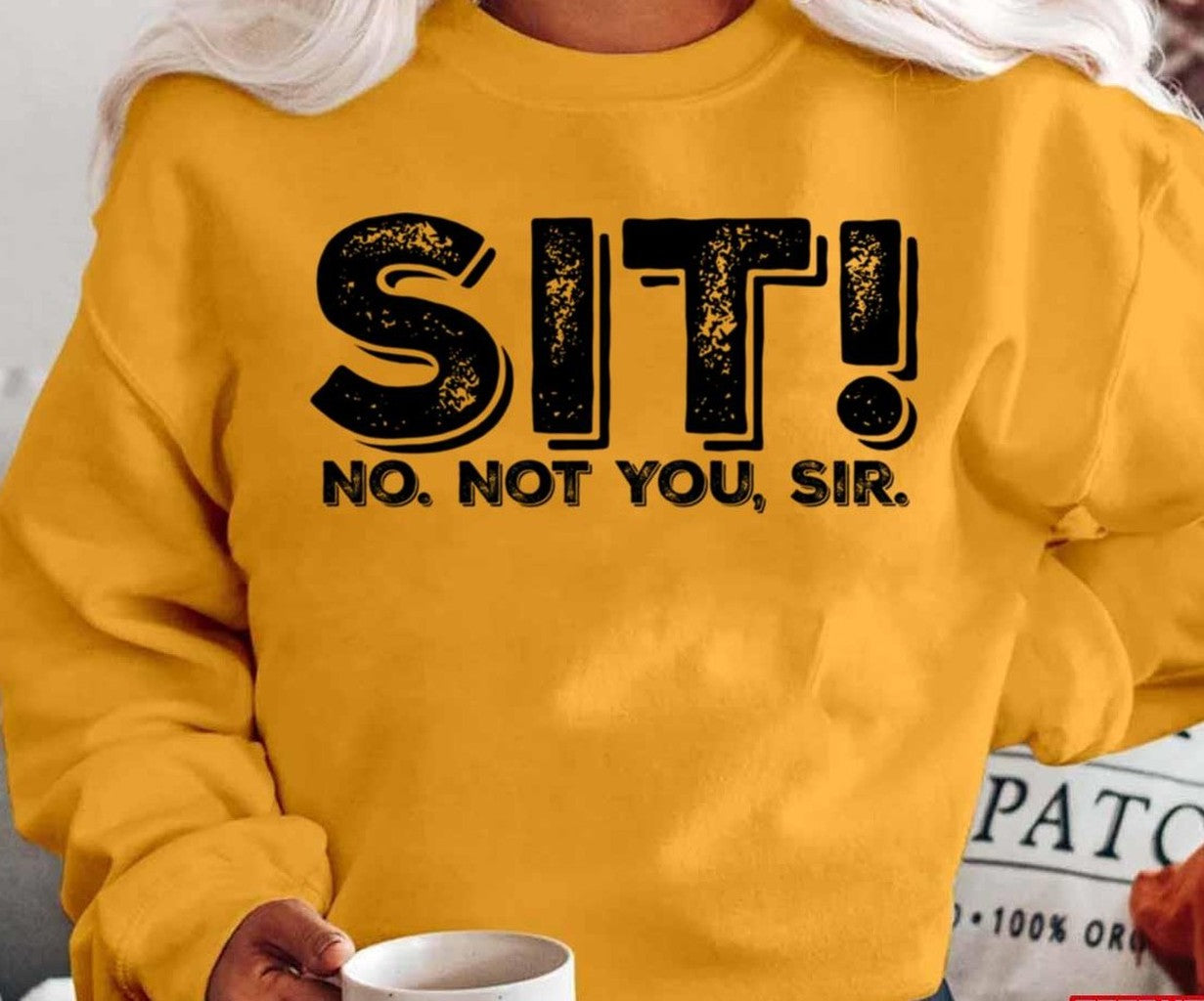Sit No Not You Sir Clue Movie Unisex T-Shirt