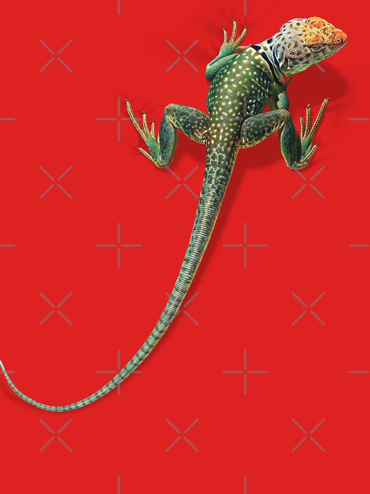 Collared Lizard Classic T-Shirt