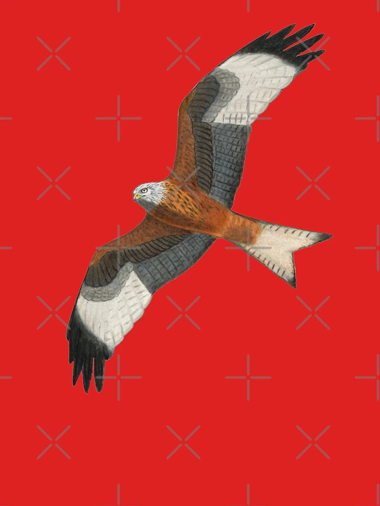 Red Kite Classic T-Shirt