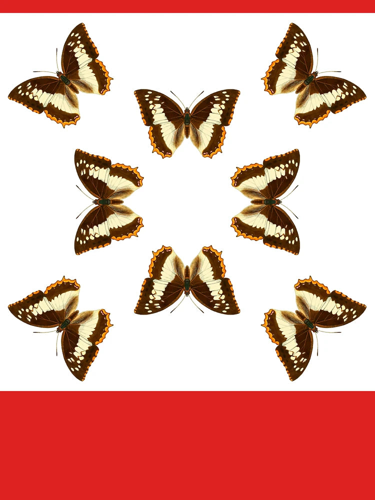 Flame-Bordered Charaxes Butterflies Classic T-Shirt