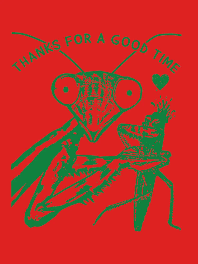Praying Mantis Cool Graphic Funny Saying Insect Offensive Sexual Pun Breakup Womens Ladies Cute Hilarious Slogan Weird Original Design Thanks for a Good Time Sexy Rude Inappropriate Adult Humor Classic T-Shirt