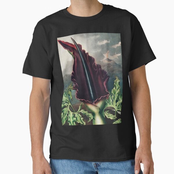The Dragon Arum from The Temple of Flora (1807) by Robert John Thornton. Classic T-Shirt