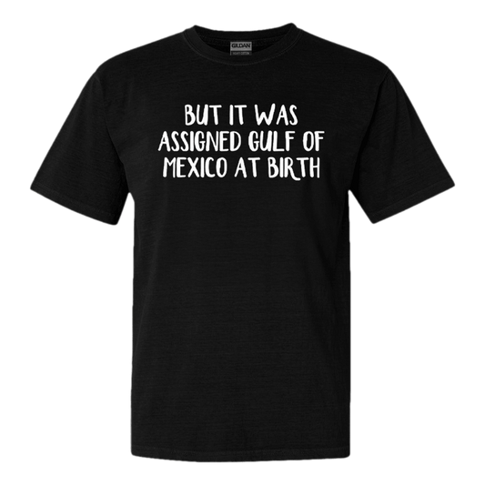But It Was Assigned Gulf Of Mexico At Birth T-Shirt Anti Trump Political Tee