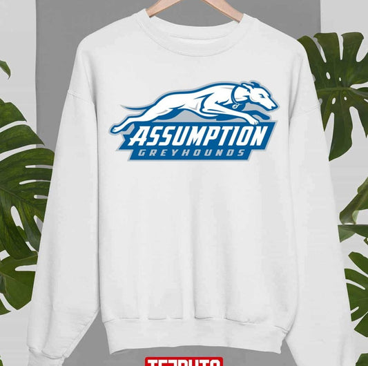 Assumption University Logo Unisex Sweatshirt