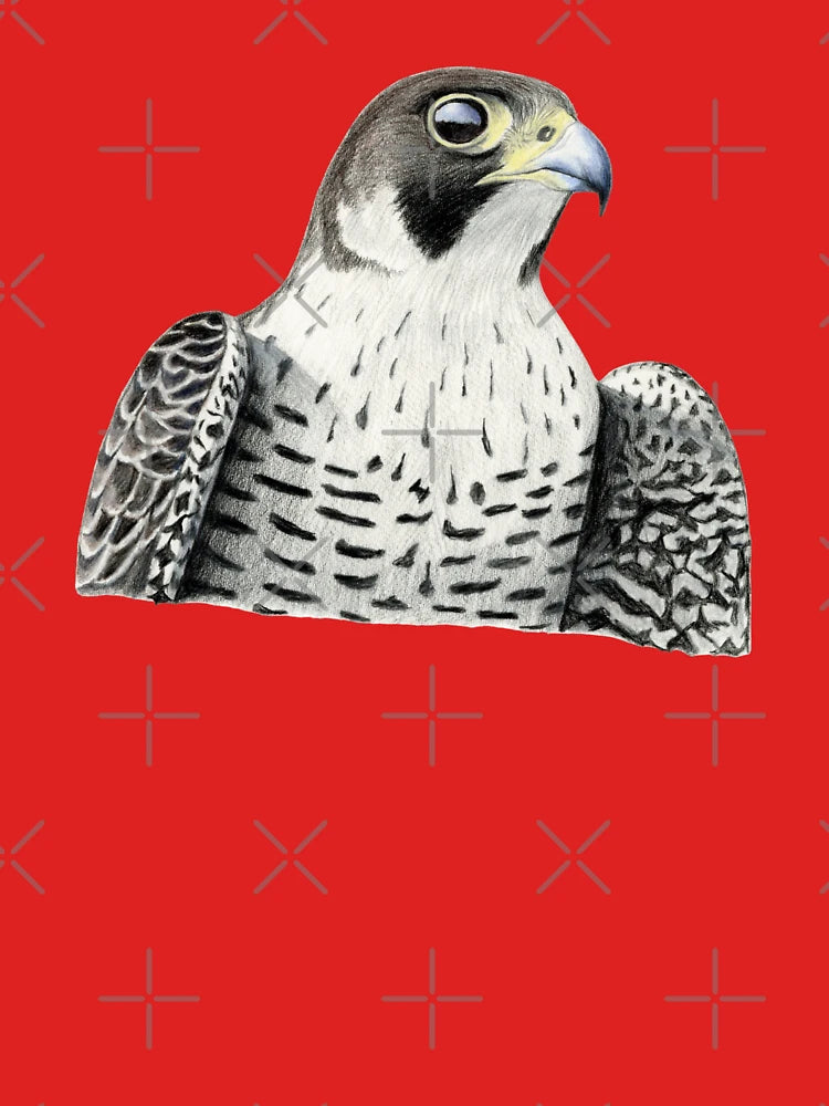 Peregrine Falcon Classic T-Shirt