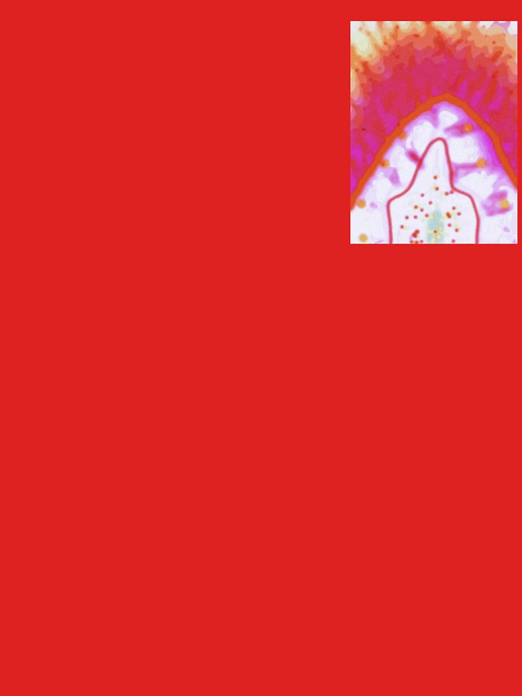 Tye dye hippy drawing also catholic inspired  Classic T-Shirt