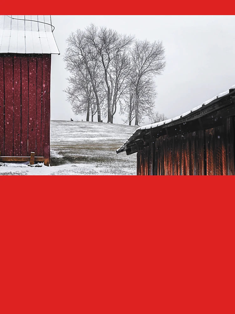 Red Framing Classic T-Shirt