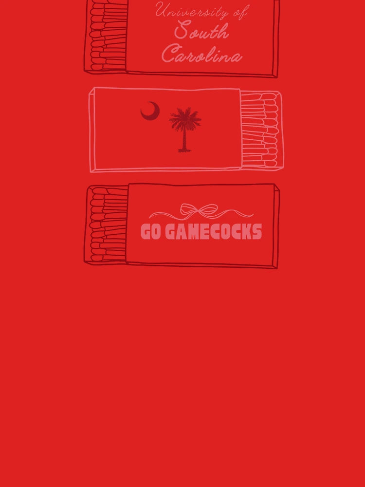 university of south carolina gamecocks matchboxes  Classic T-Shirt