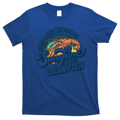 Sunshine And Crawfish Boil Retro Cajun Seafood Festival Meaningful Gift T-Shirt